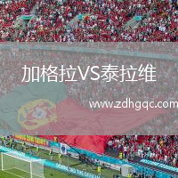 加格拉VS泰拉維