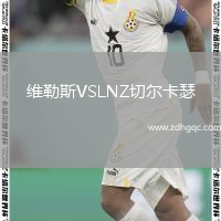 維勒斯VSLNZ切爾卡瑟