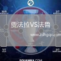 賈法拉VS法魯