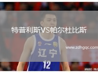 特普利斯VS帕爾杜比斯