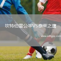 坎特伯雷公羊VS泰萊之鷹