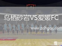 鳥棲砂巖VS愛媛FC