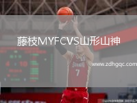 藤枝MYFCVS山形山神
