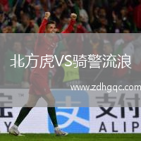 北方虎VS騎警流浪