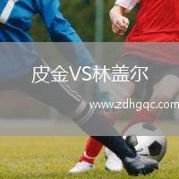 皮金VS林蓋爾