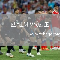 西班牙VS法國