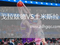 戈拉茲德VS土米斯拉