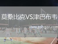莫桑比克VS津巴布韋