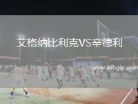 艾格納比利克VS辛德利