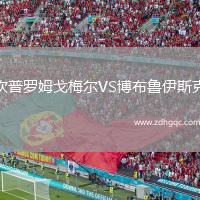 坎普羅姆戈梅爾VS博布魯伊斯克