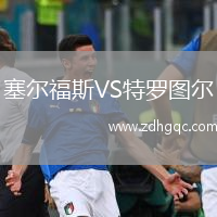 塞爾福斯VS特羅圖爾