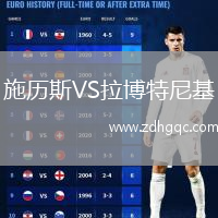施歷斯VS拉博特尼基