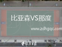 比亞森VS那度