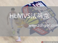 HLMVS法蒂克