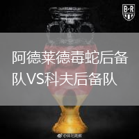 阿德萊德毒蛇后備隊VS科夫后備隊