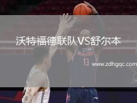 沃特福德聯(lián)隊(duì)VS舒爾本