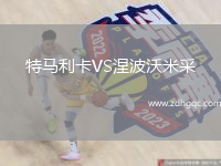 特馬利卡VS涅波沃米采