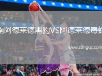 南阿德萊德黑豹VS阿德萊德毒蛇