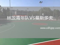 林茨青年隊VS曼斯多夫