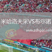 米哈洛夫采VS布爾諾